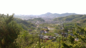 花見山公園6 花見山公園6